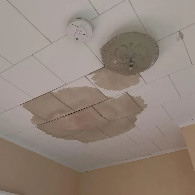 Ceiling Water Damage Repair in Surry County, NC