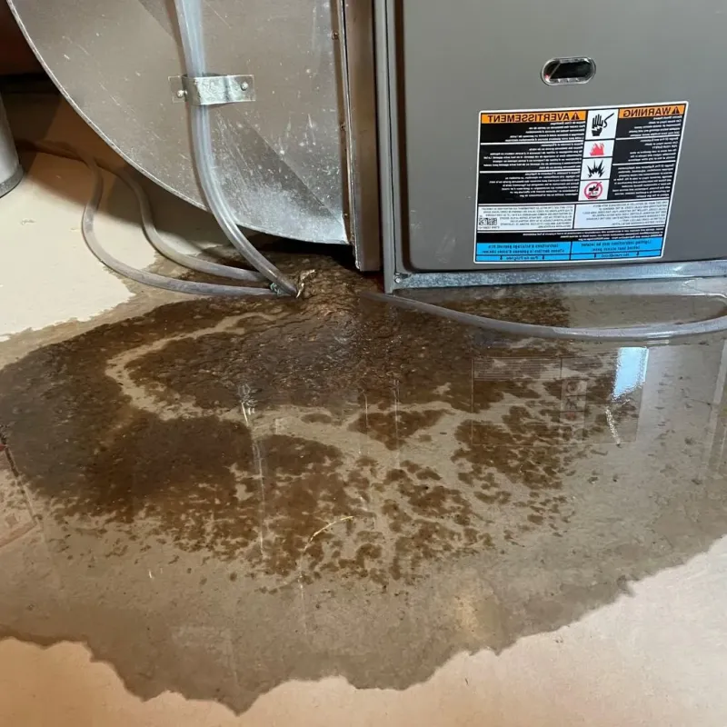 Pipe Burst and Leak Restoration in Surry County, NC