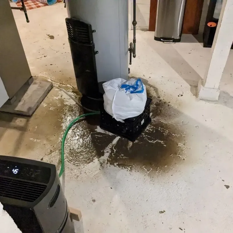 Sewage Backup Cleanup Service in Surry County, NC